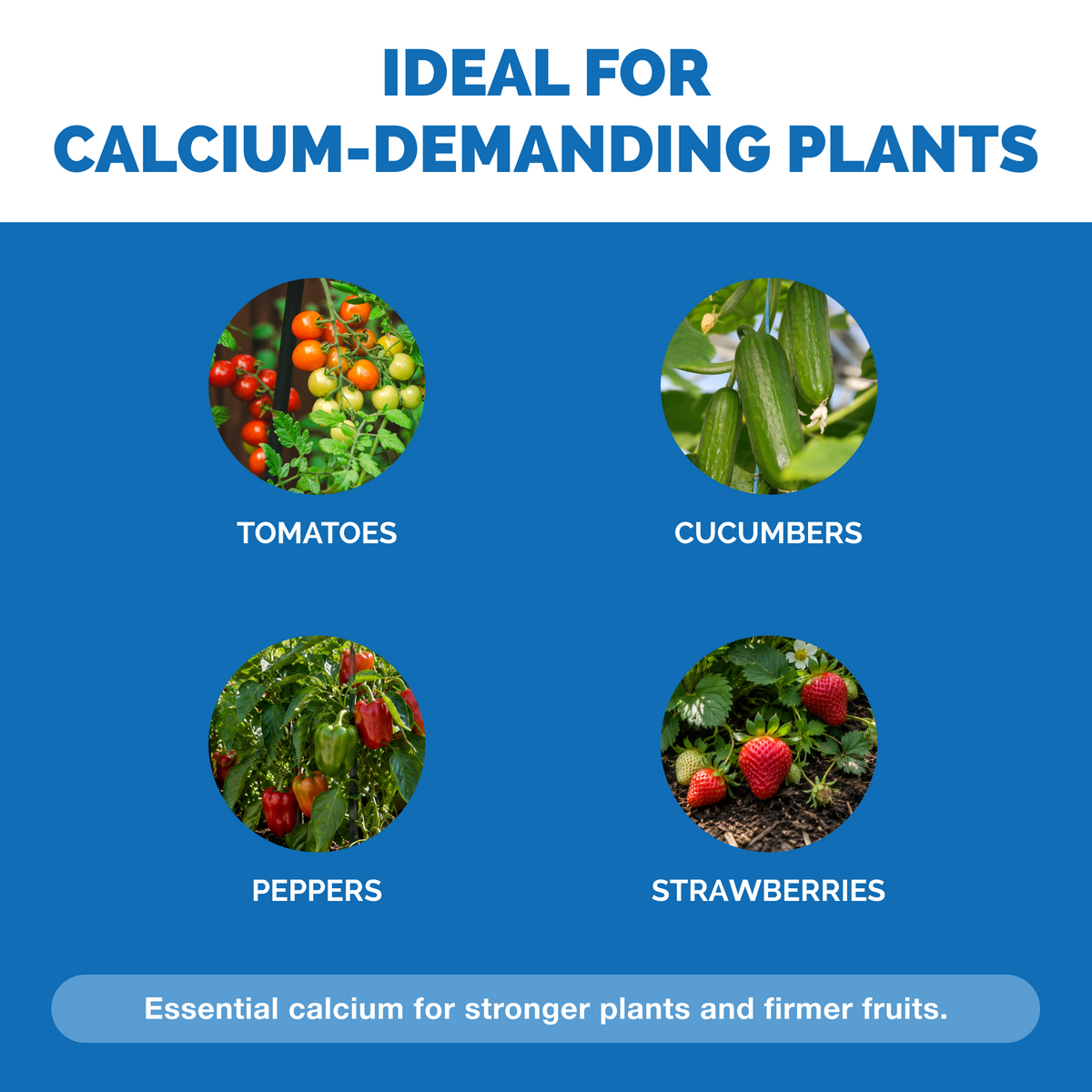 Calcium for Plants — slide 4