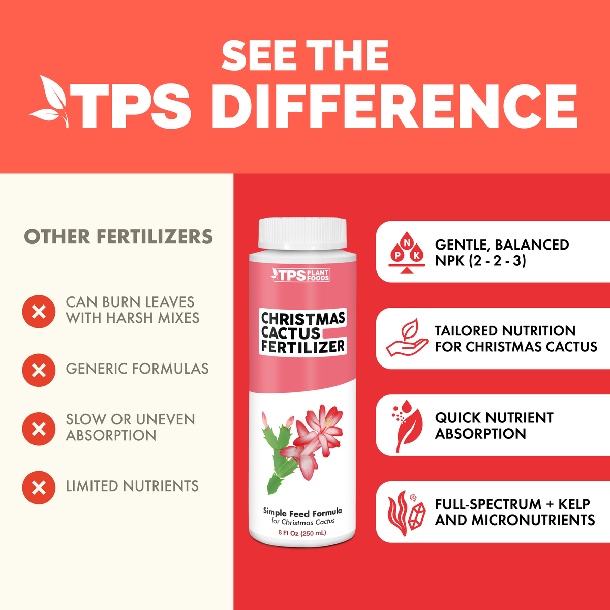 Christmas Cactus Fertilizer — slide 4