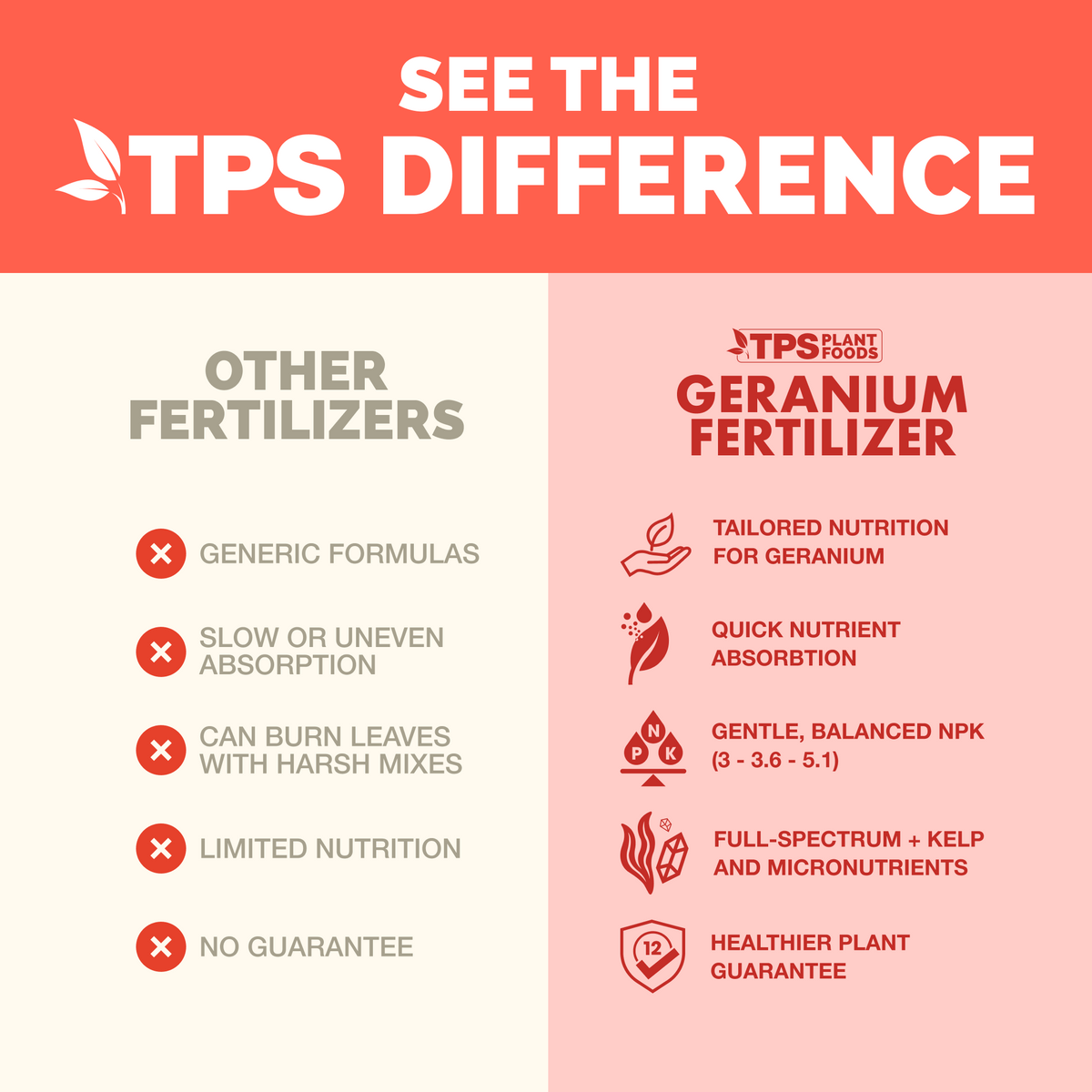 Geranium Fertilizer — slide 4