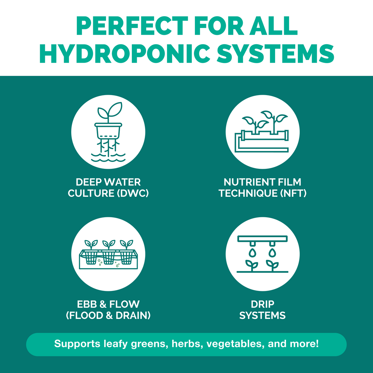 Plants before and after TPS Hydroponic Nutrients: fuller, greener growth [other]