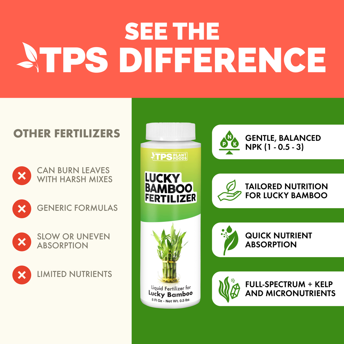 Lucky bamboo before and after TPS Lucky Bamboo Fertilizer: fuller, greener growth [results]