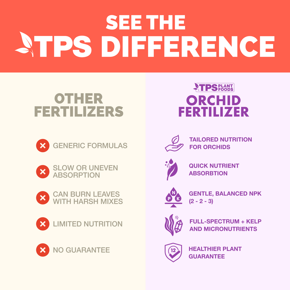 Orchid Plant Food — slide 4