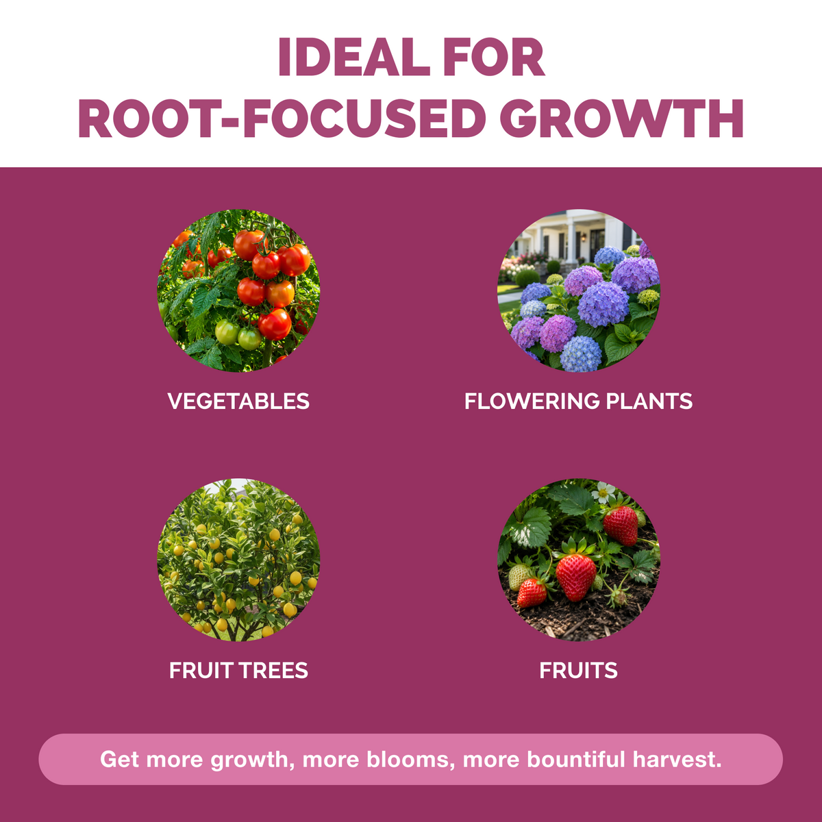 Plants before and after TPS Phosphorus Fertilizer: fuller, greener growth [other]