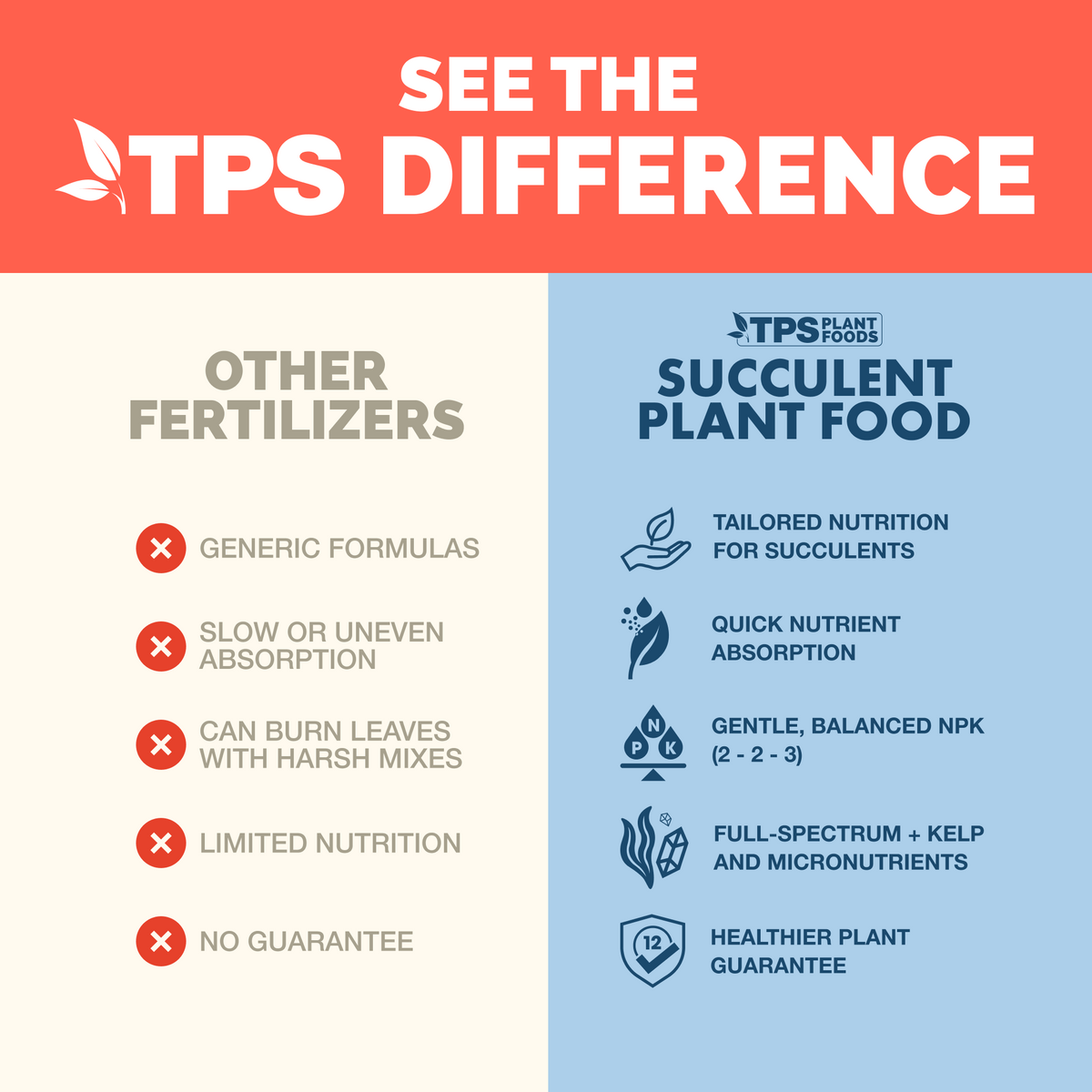 Succulent Plant Food — slide 4