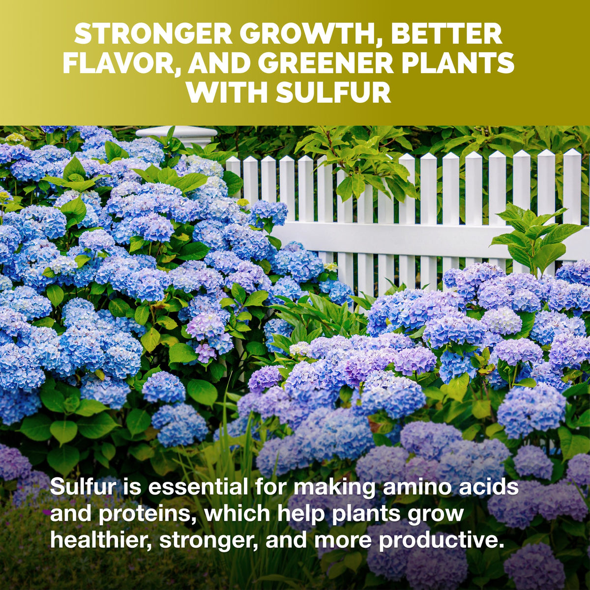 Sulfur for Plants — slide 4