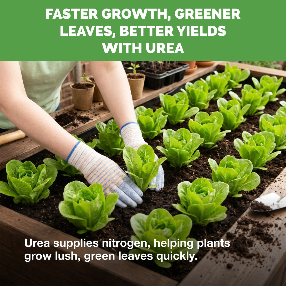 Urea Fertilizer — slide 4