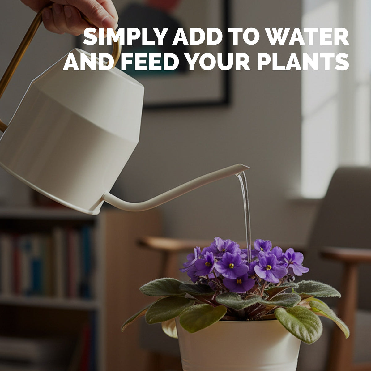 African Violet Fertilizer — slide 5
