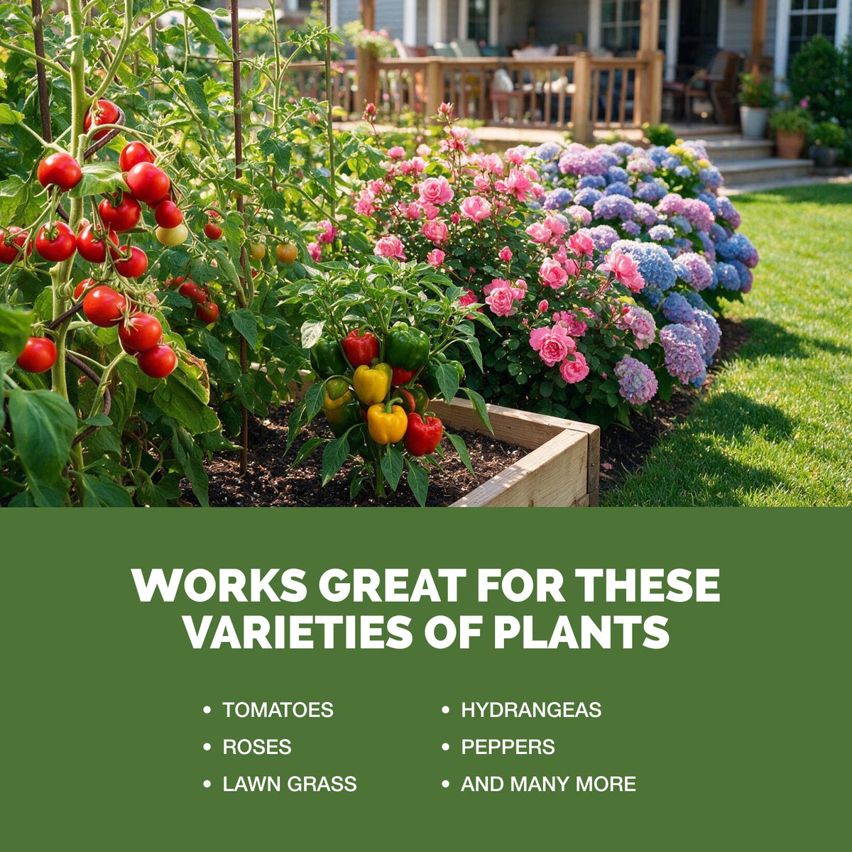 All Purpose Fertilizer — slide 5