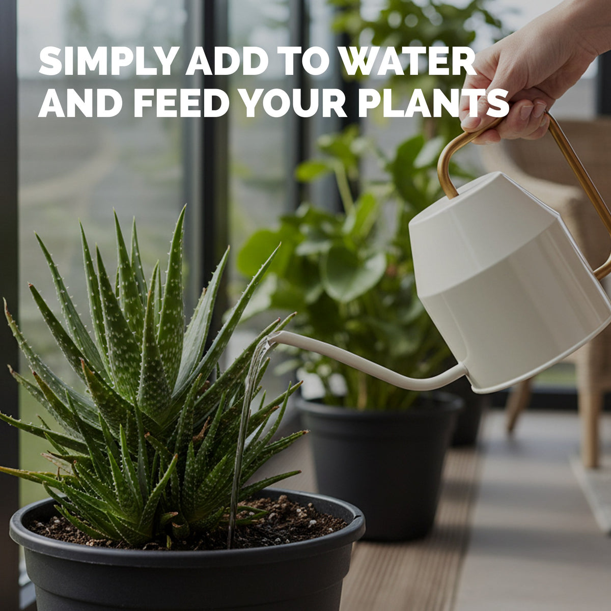 Aloe Vera Fertilizer — slide 5