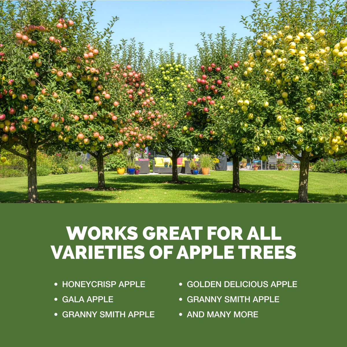 Apple Tree Fertilizer — slide 5