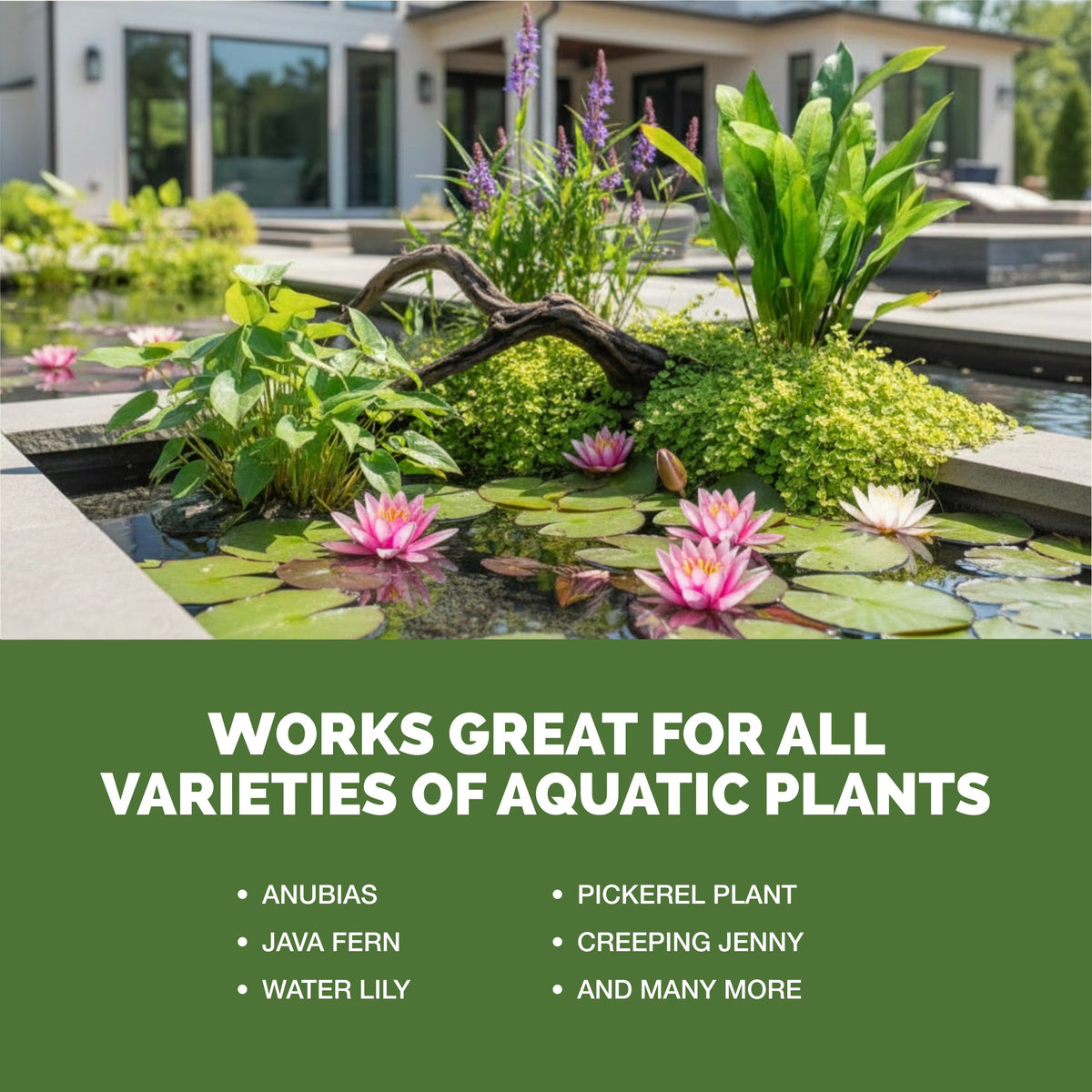 Aquatic Plant Fertilizer — slide 5
