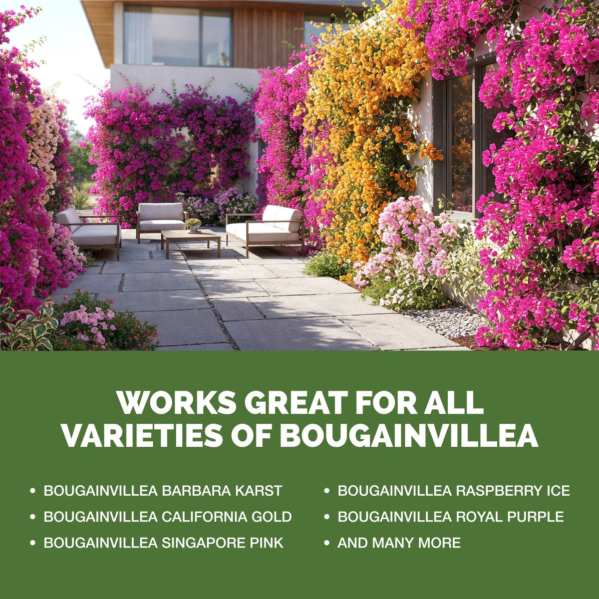 Bougainvillea Fertilizer — slide 5