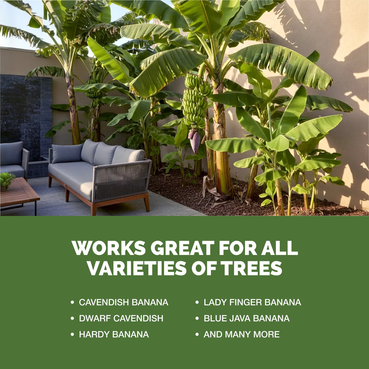 Banana Tree Fertilizer — slide 5