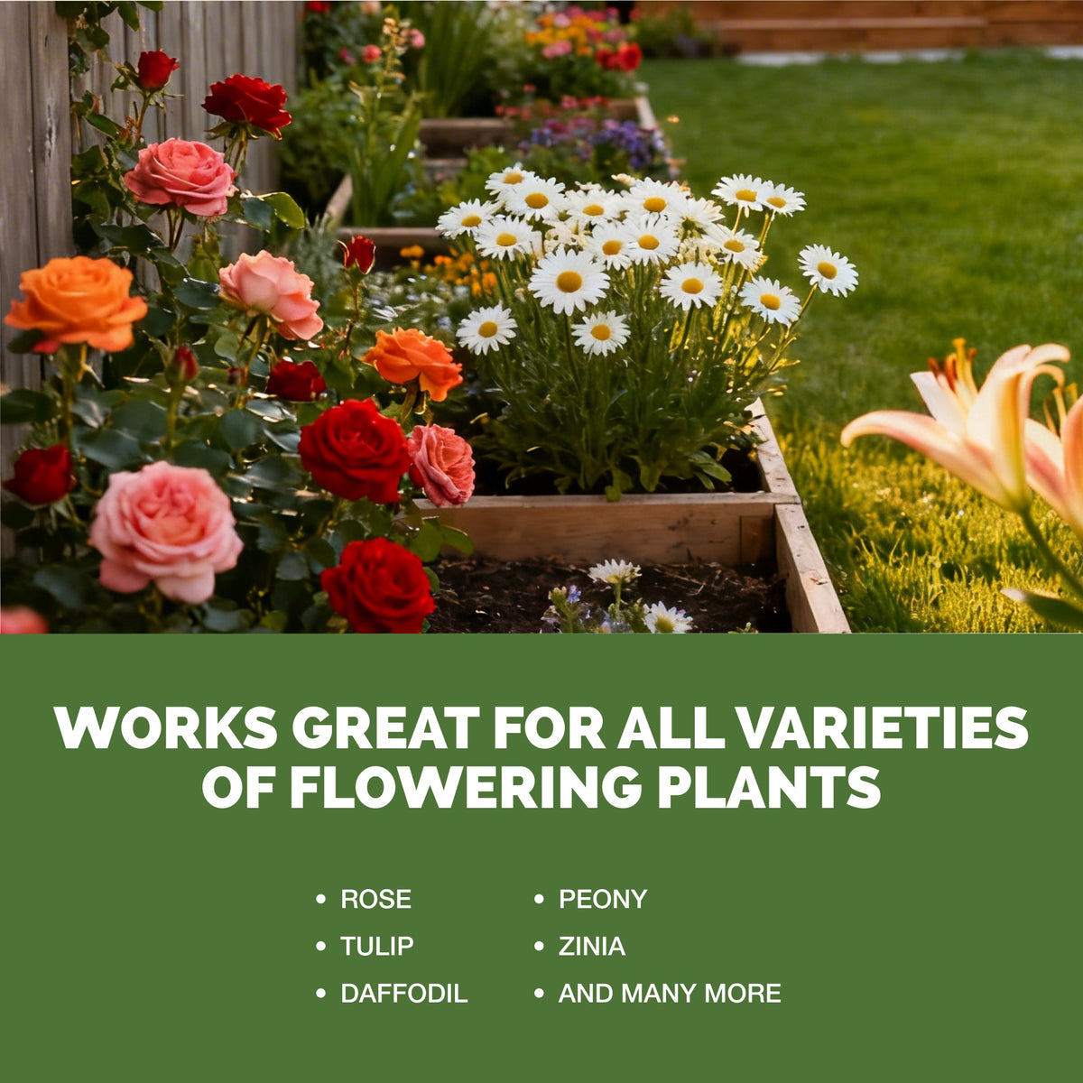 Bloom Fertilizer — slide 5