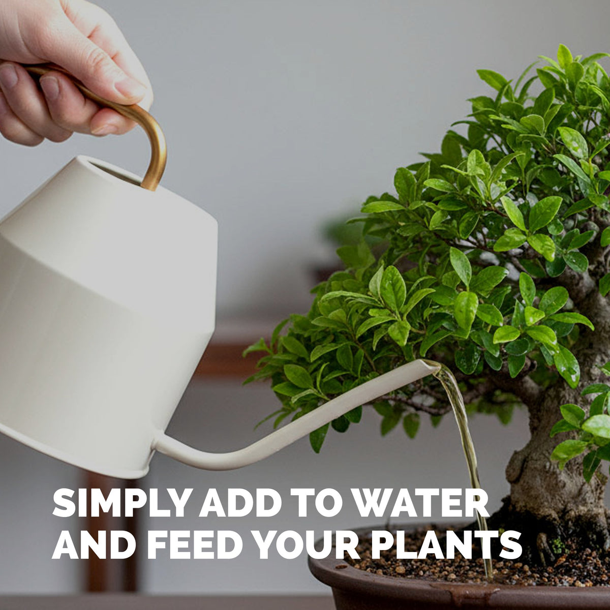 Bonsai Fertilizer — slide 5