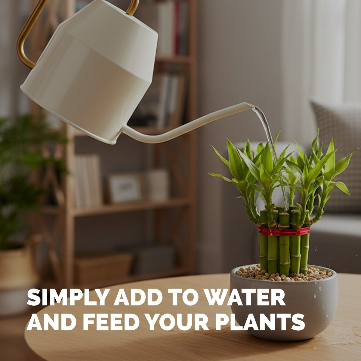 Feeding plants with TPS Brazilian Wood Plant Food mixed into a watering can [how-to]
