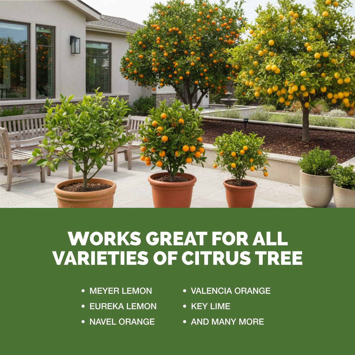 Citrus Fertilizer — slide 5
