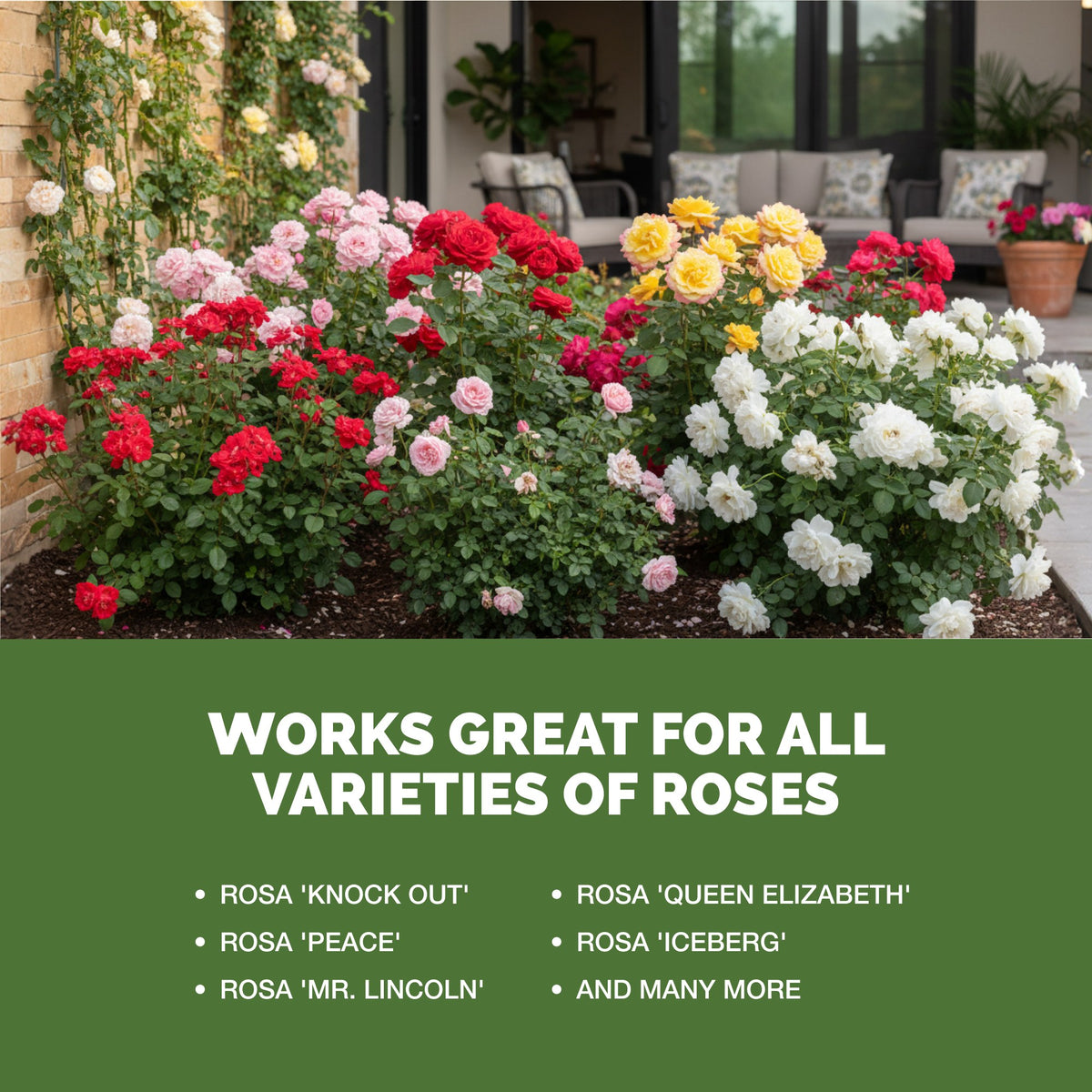 TPS Rose Fertilizer works for all varieties of rose