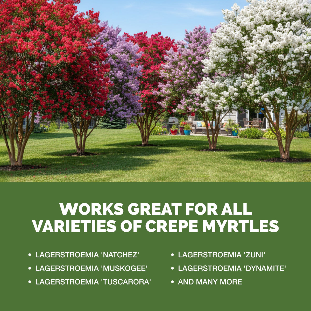 Crepe Myrtle Fertilizer — slide 5