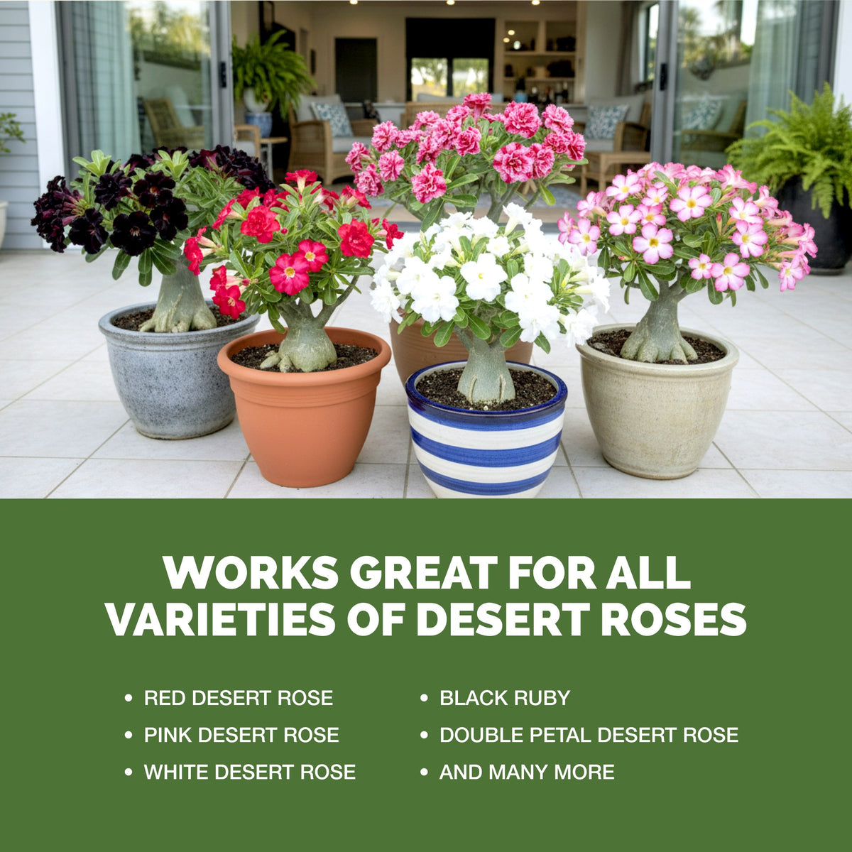 Desert Rose Fertilizer — slide 5