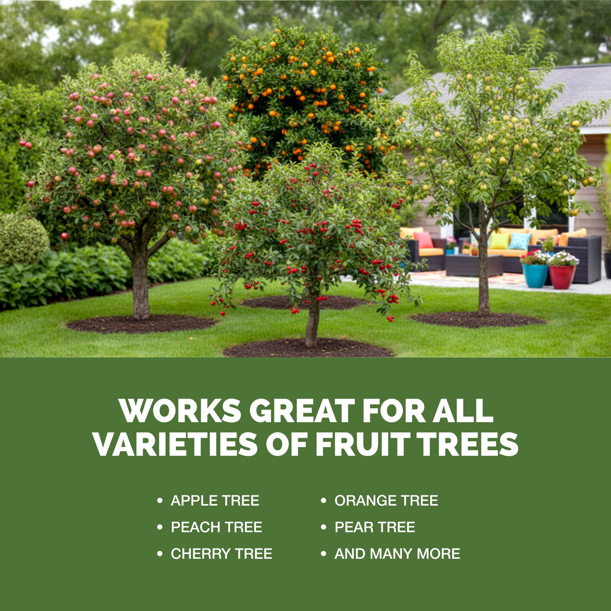 Fruit Tree Fertilizer — slide 5