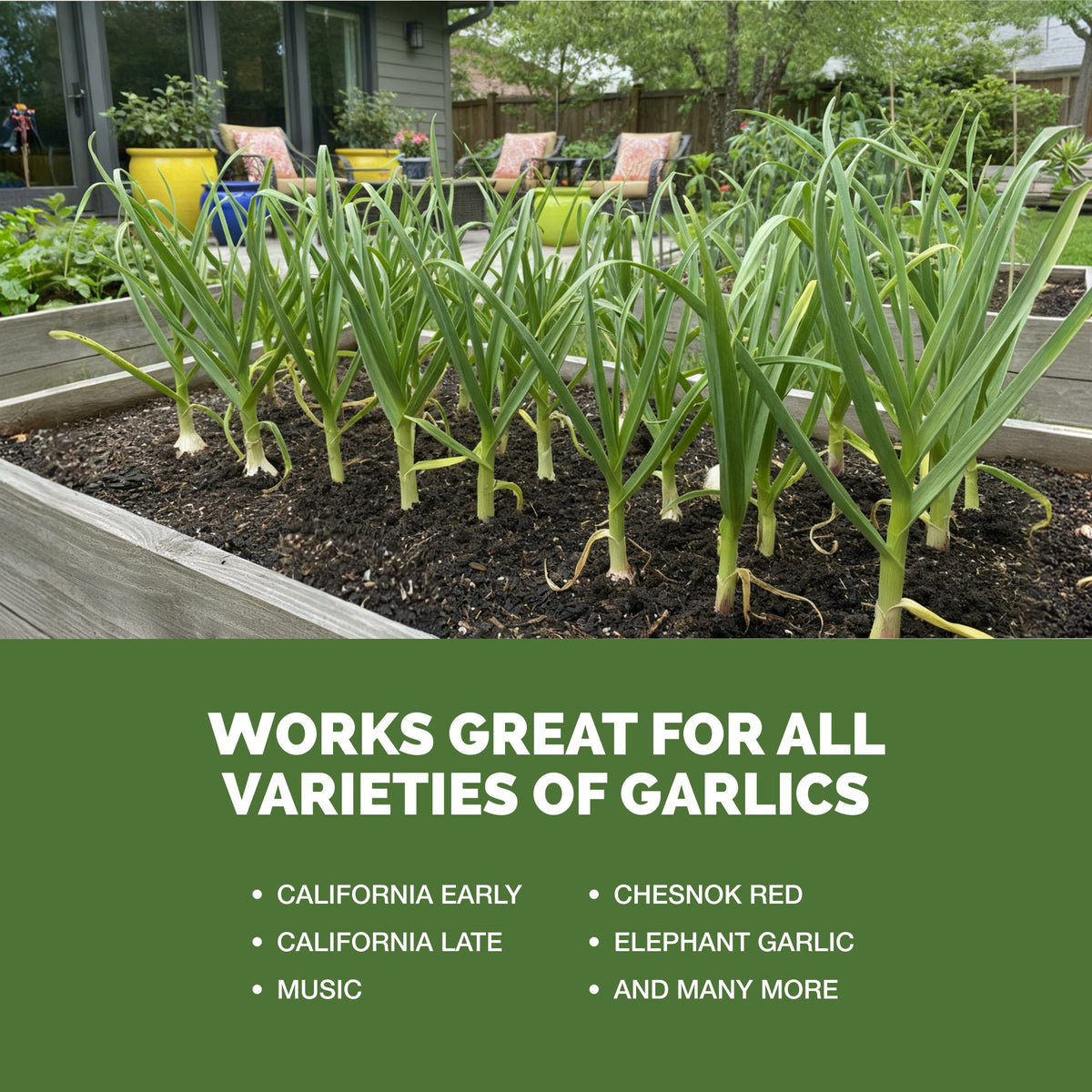 TPS Garlic Fertilizer works for all varieties of garlic