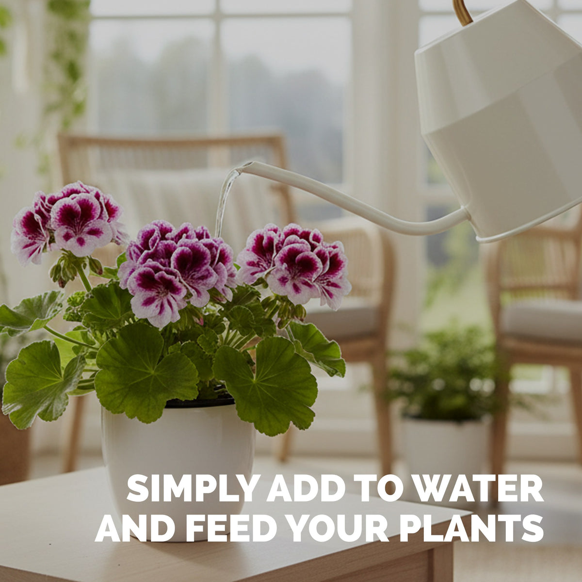 Geranium Fertilizer — slide 5