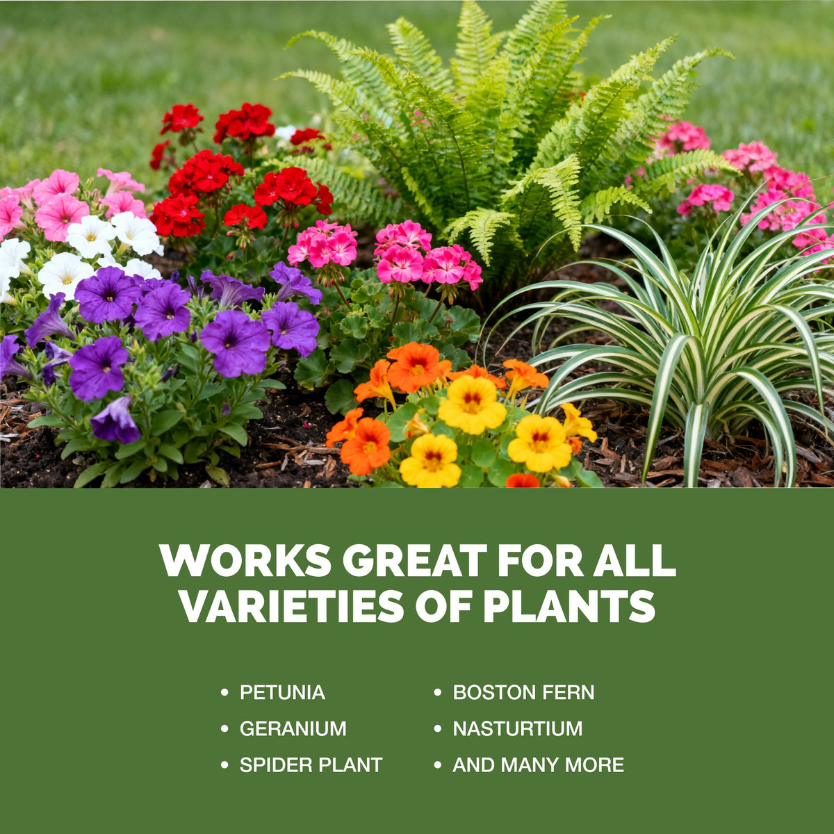 TPS Hanging Basket Plant Food works for all varieties of plants