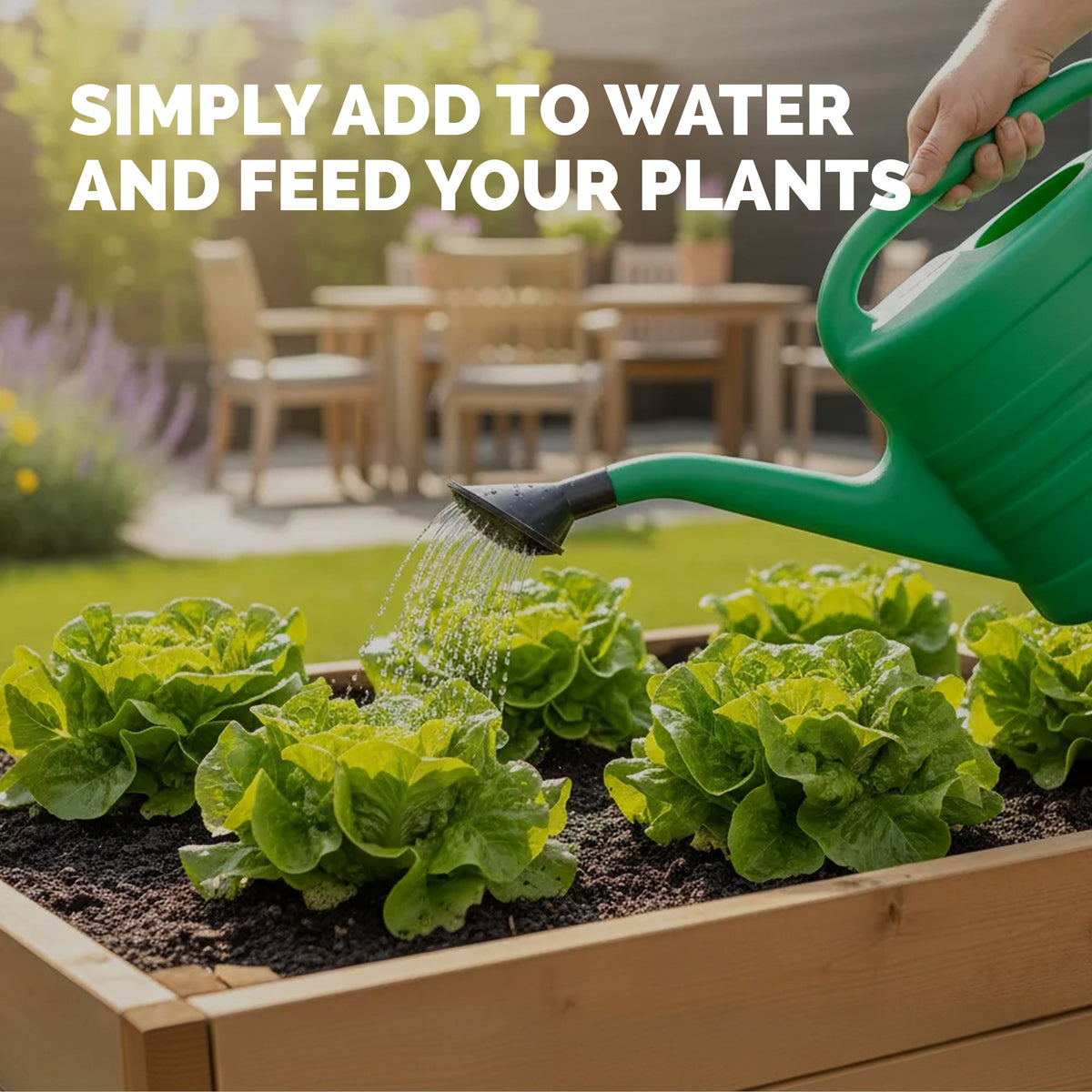 Herbs and Leafy Greens Plant Food — slide 5