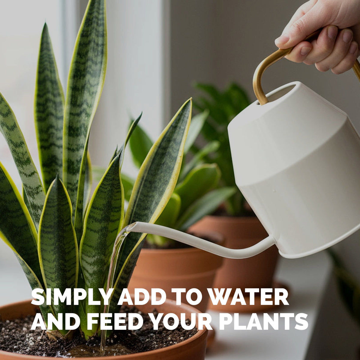 Indoor Plant Food — slide 5