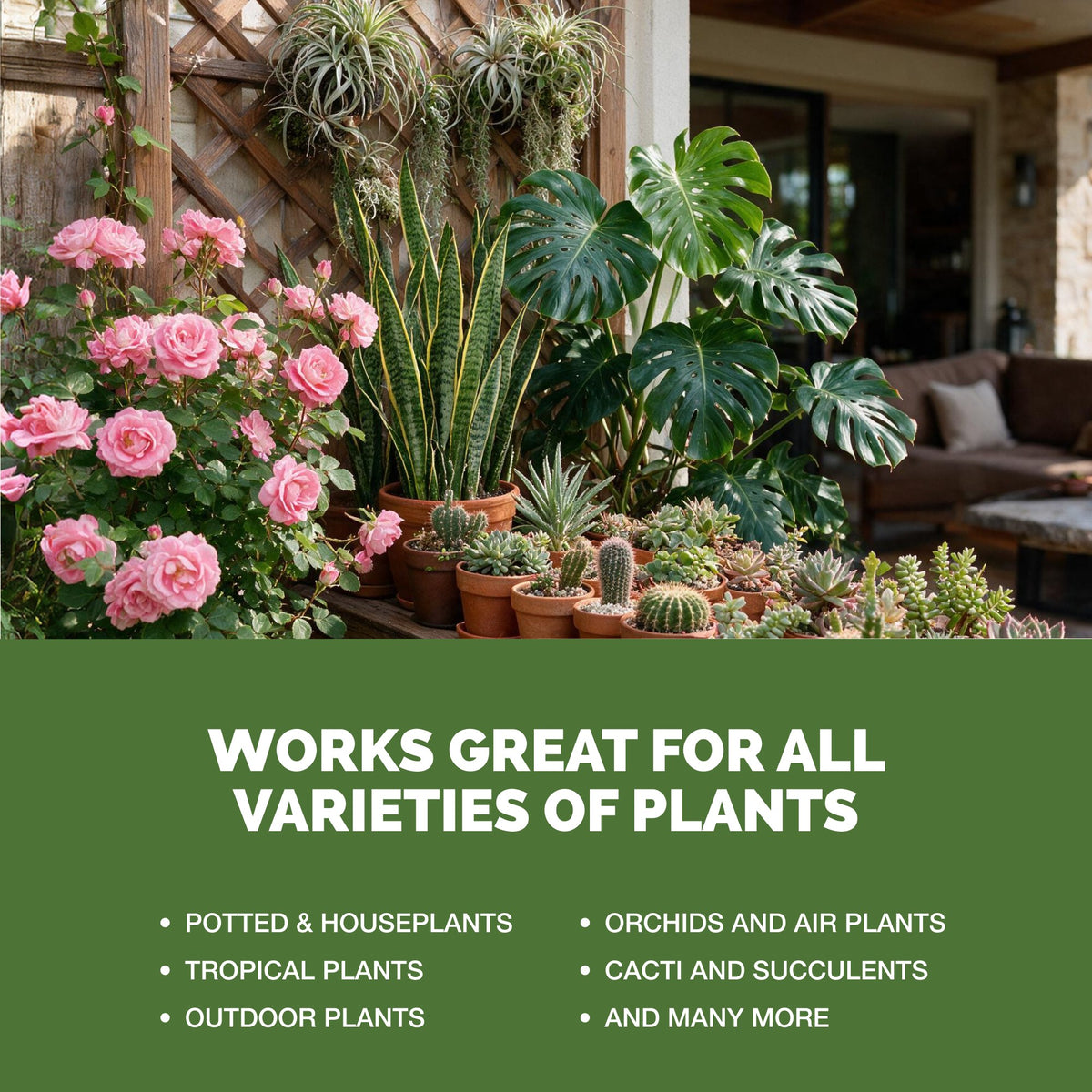 TPS Instant Plant Food works for all varieties of plants [other]