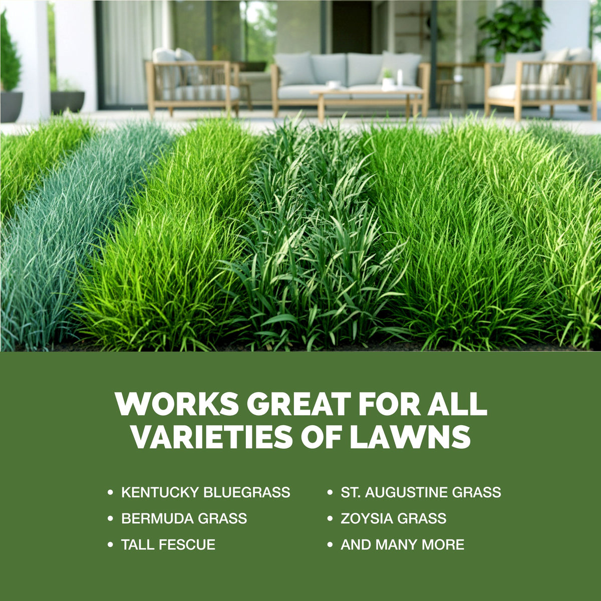 TPS Lawn Fertilizer works for all varieties of lawns