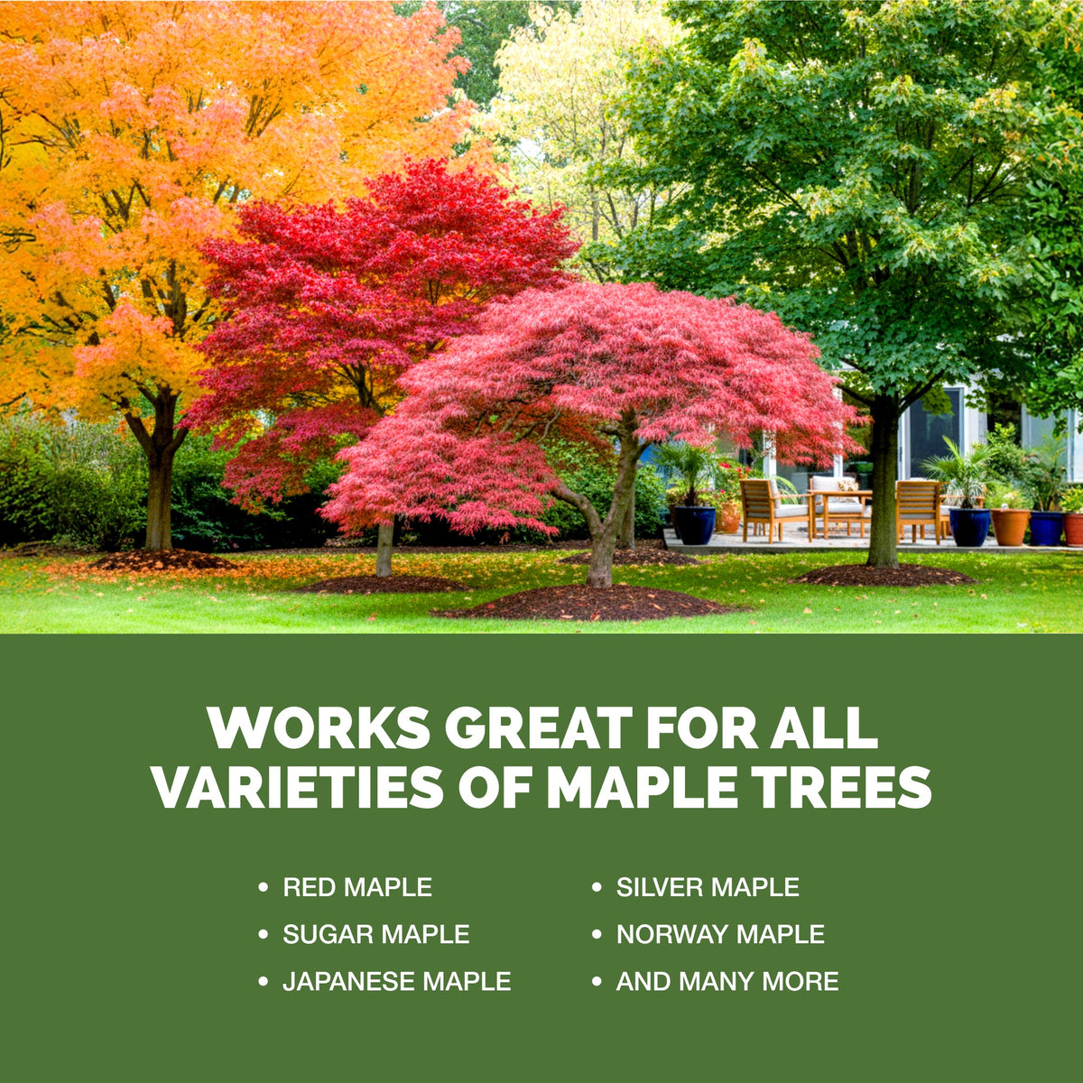 TPS Maple Tree Fertilizer works for all varieties of maple tree