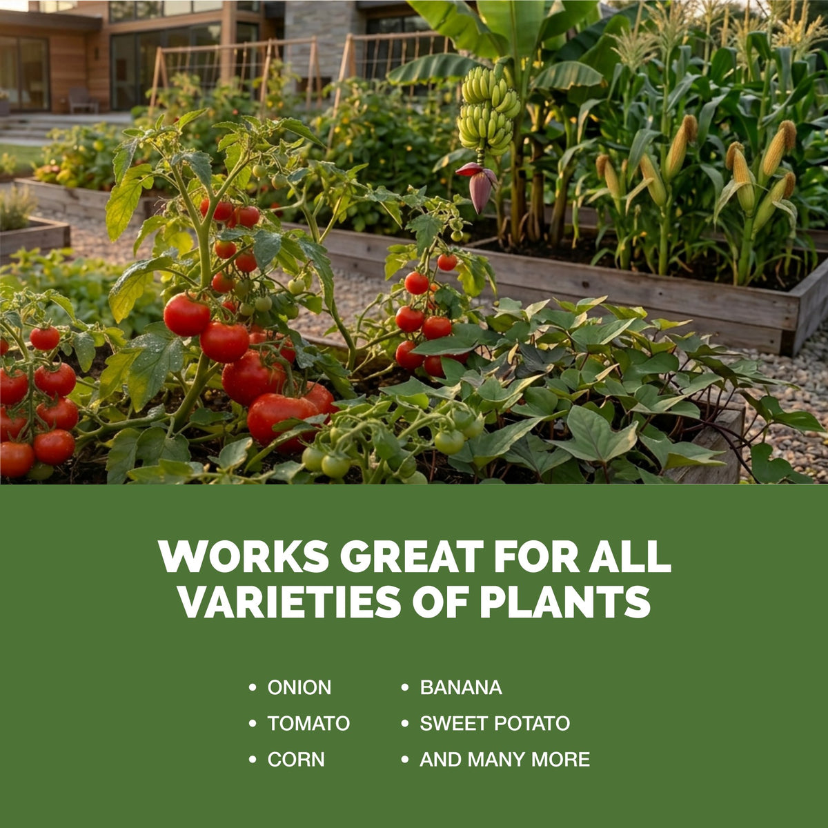 TPS Muriate Of Potash works for all varieties of plants [other]