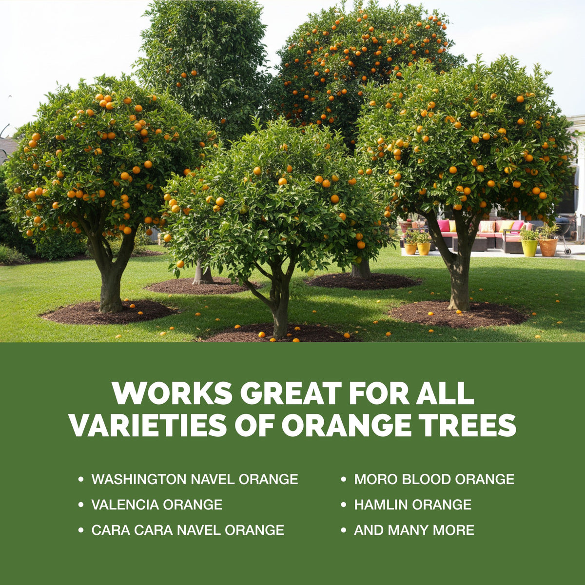 Orange Tree Fertilizer — slide 5