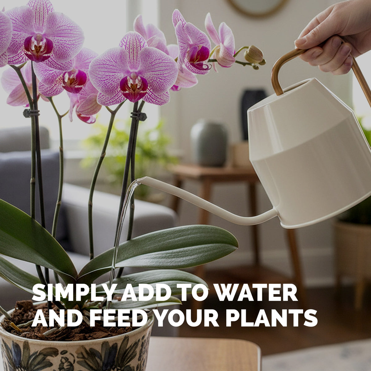 Orchid Plant Food — slide 5