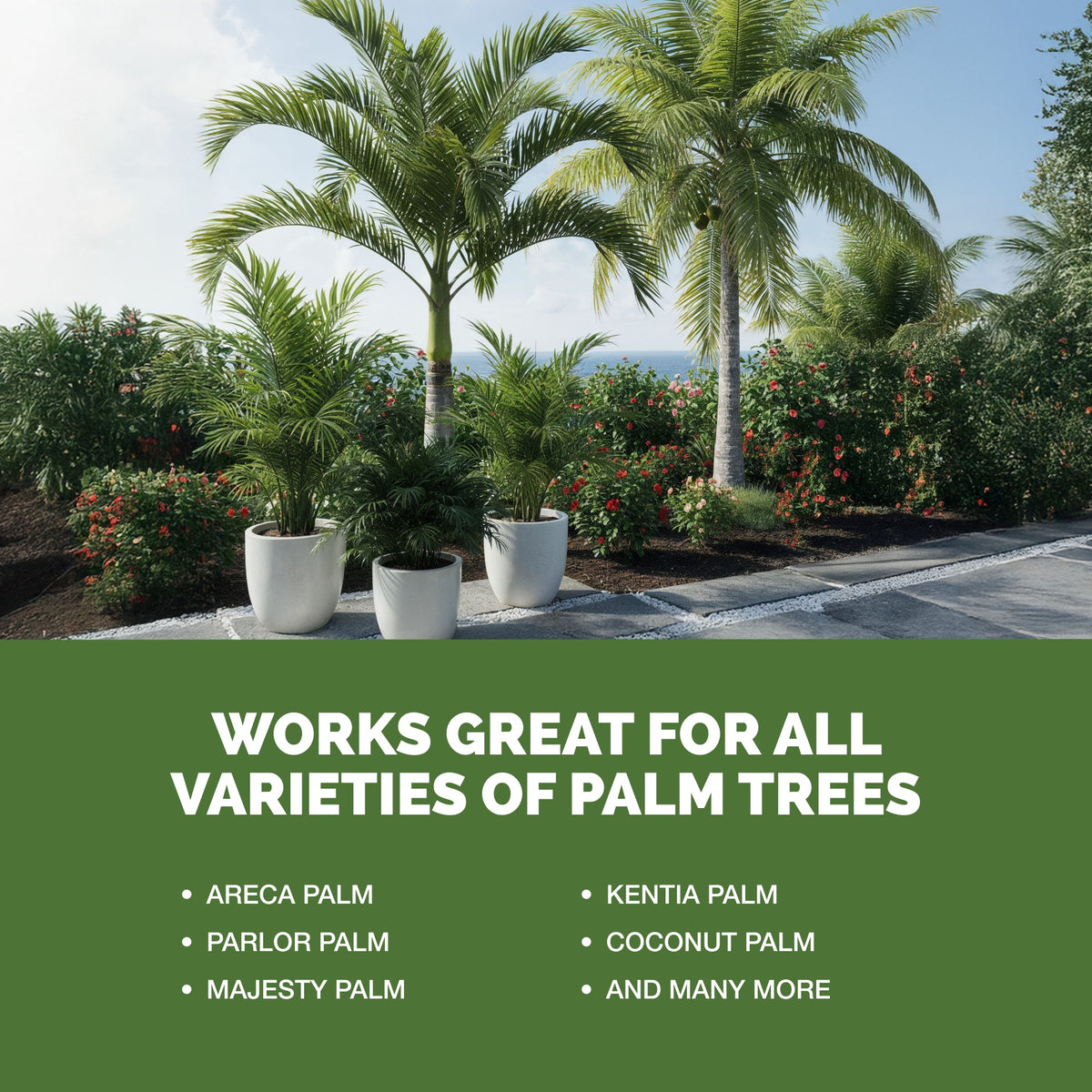 TPS Mycorrhizal Fungi for Palm Trees works for all varieties of plants [other]