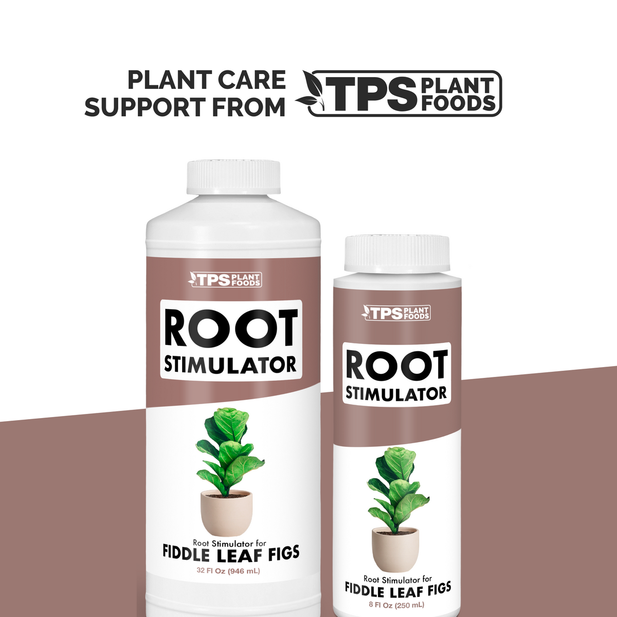 Feeding plants with TPS Fig Root Supplement mixed into a watering can [other]