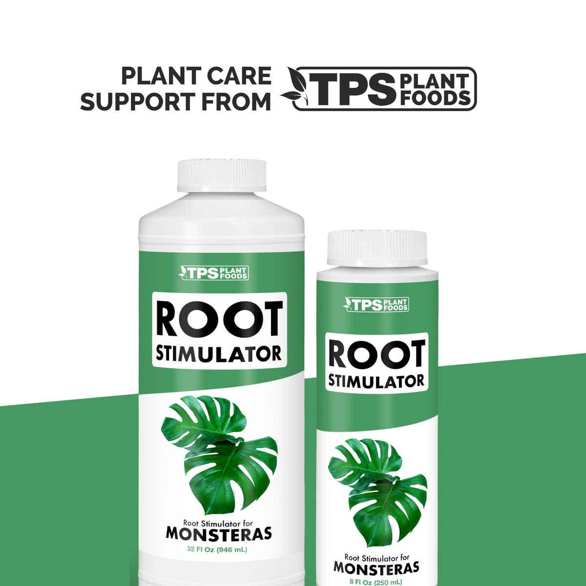 Monstera Root Supplement — slide 5