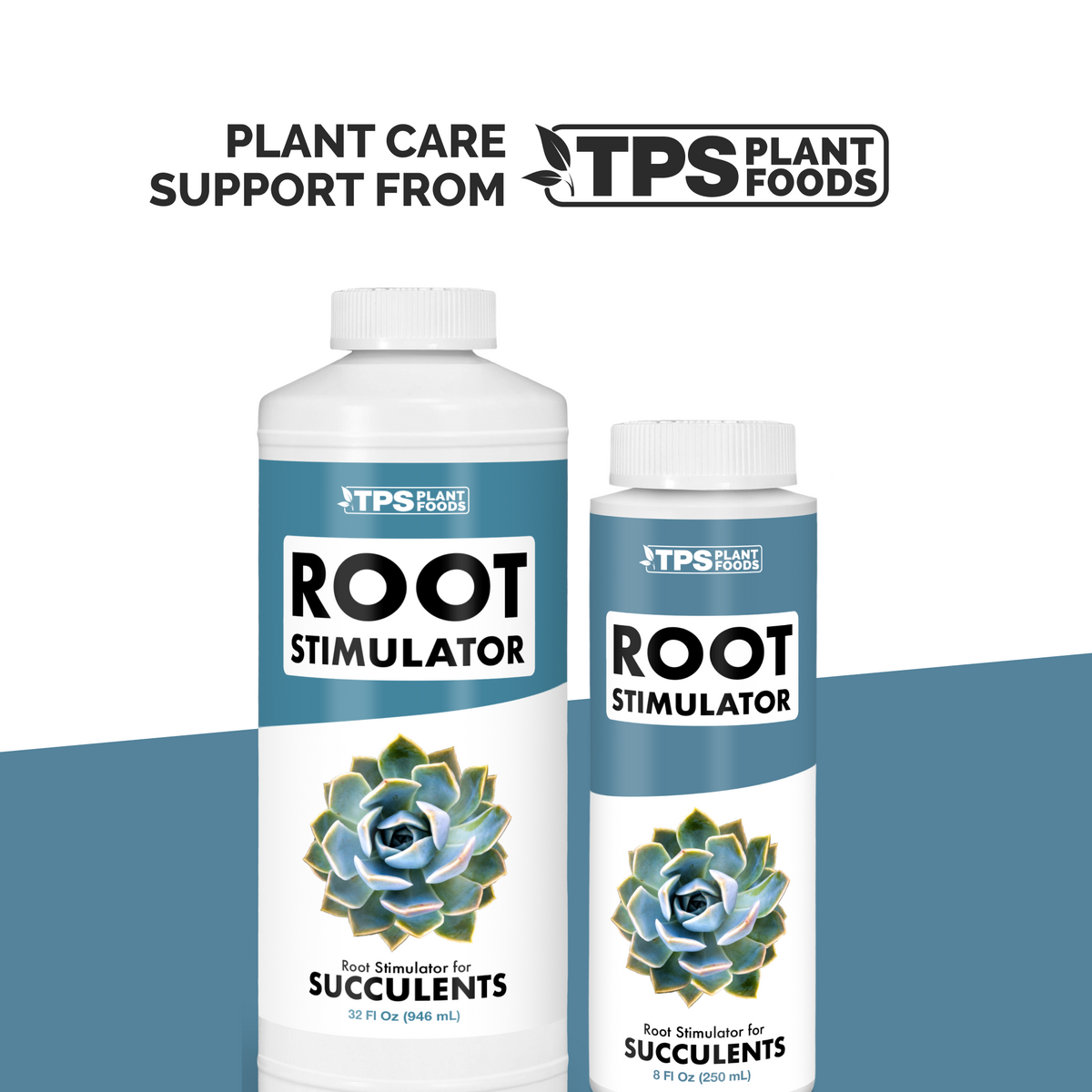 Succulent Root Supplement — slide 5