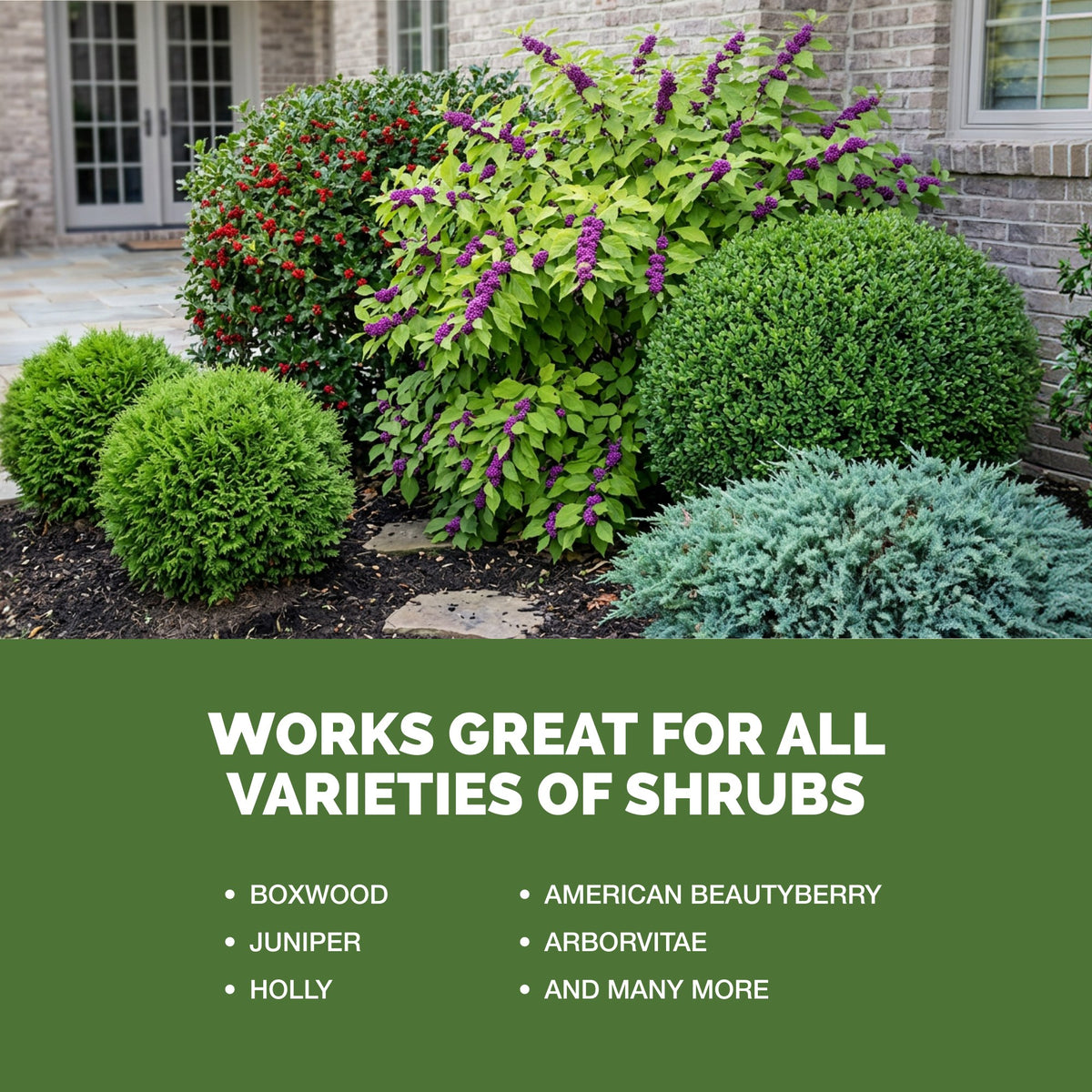 TPS Shrub Fertilizer works for all varieties of shrubs
