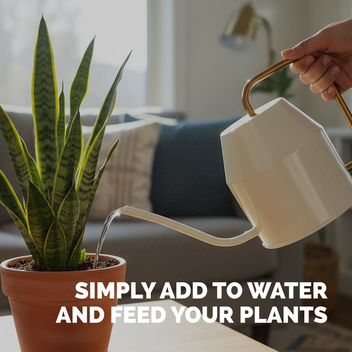 Snake Plant Fertilizer — slide 5