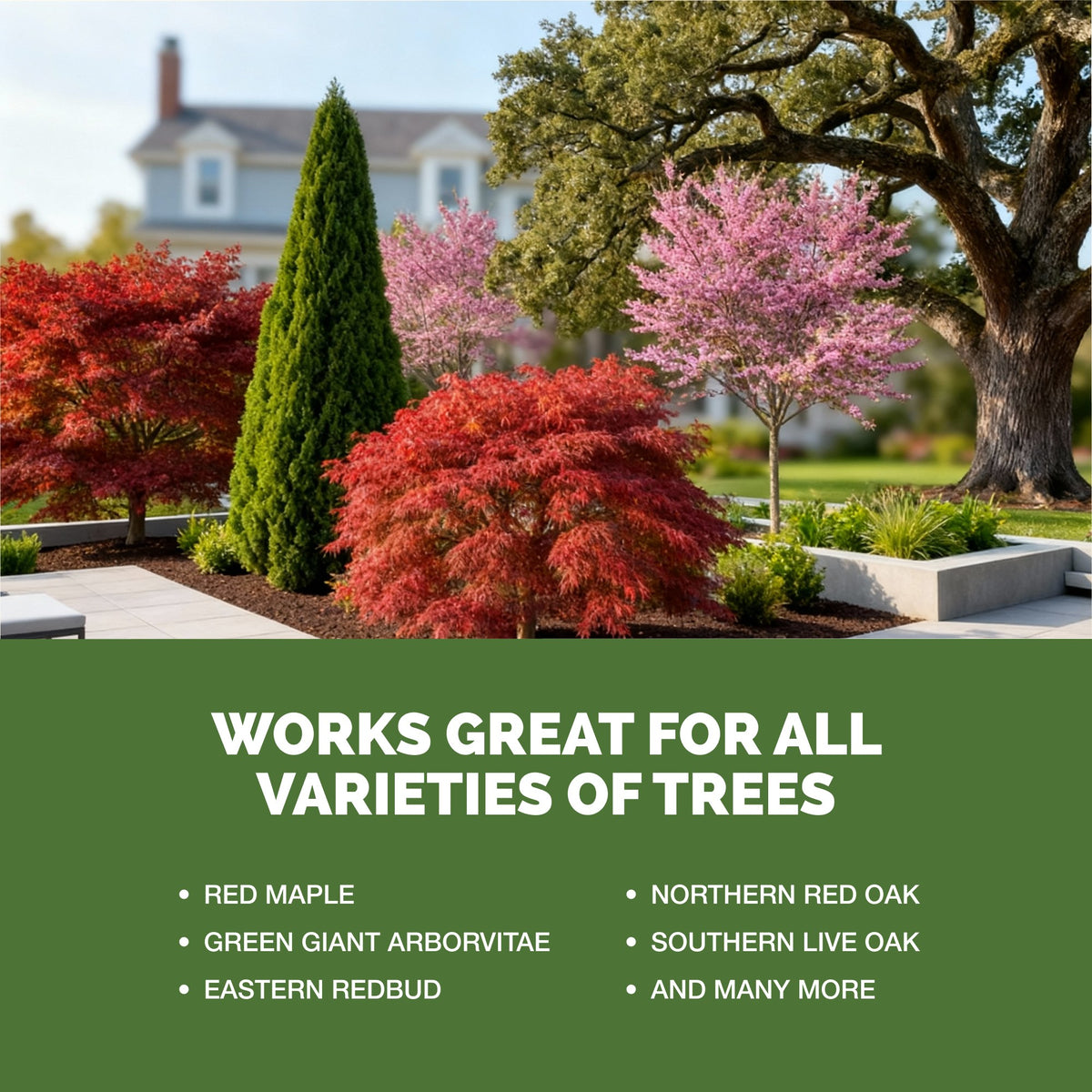 Tree Fertilizer — slide 5