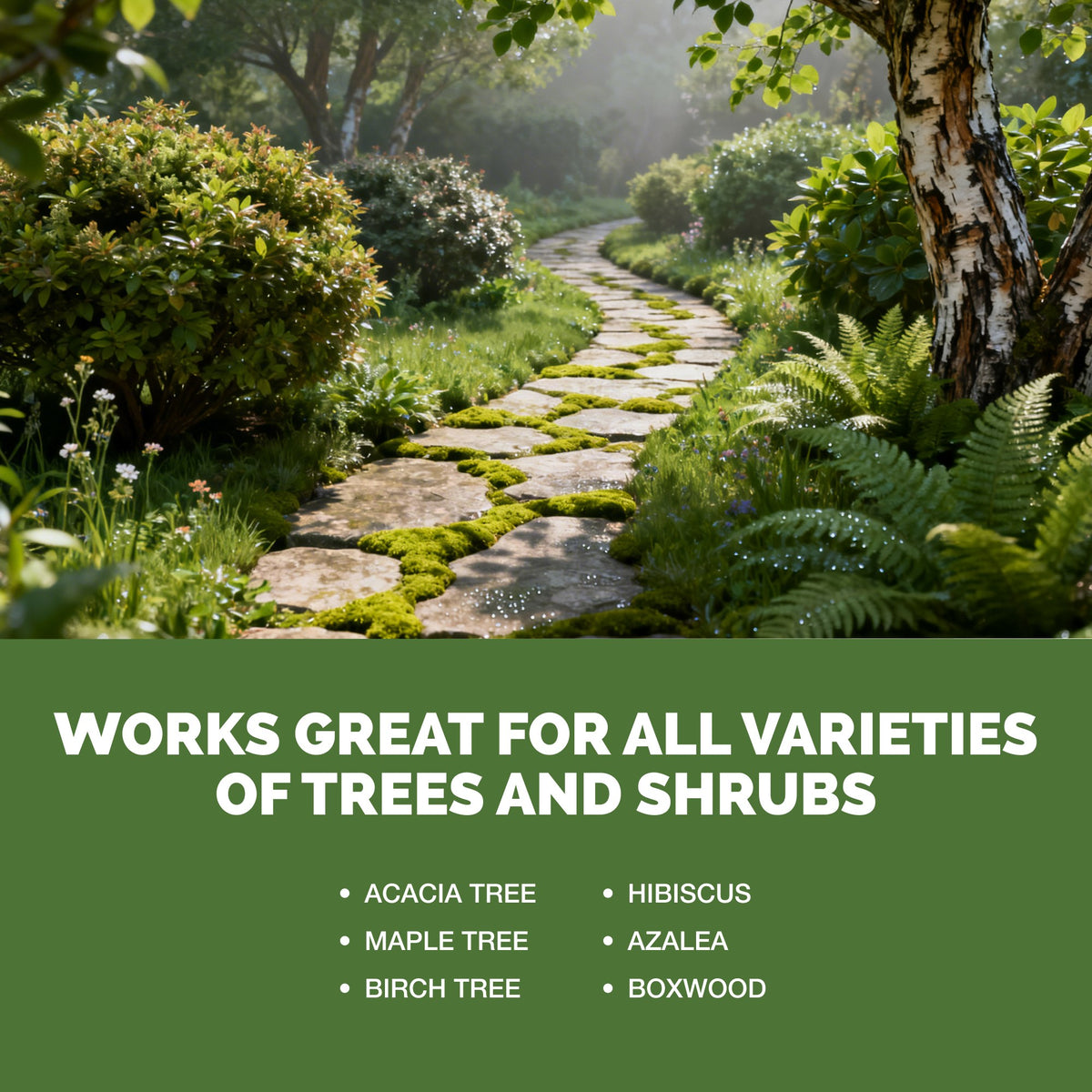 Tree And Shrub Fertilizer — slide 5
