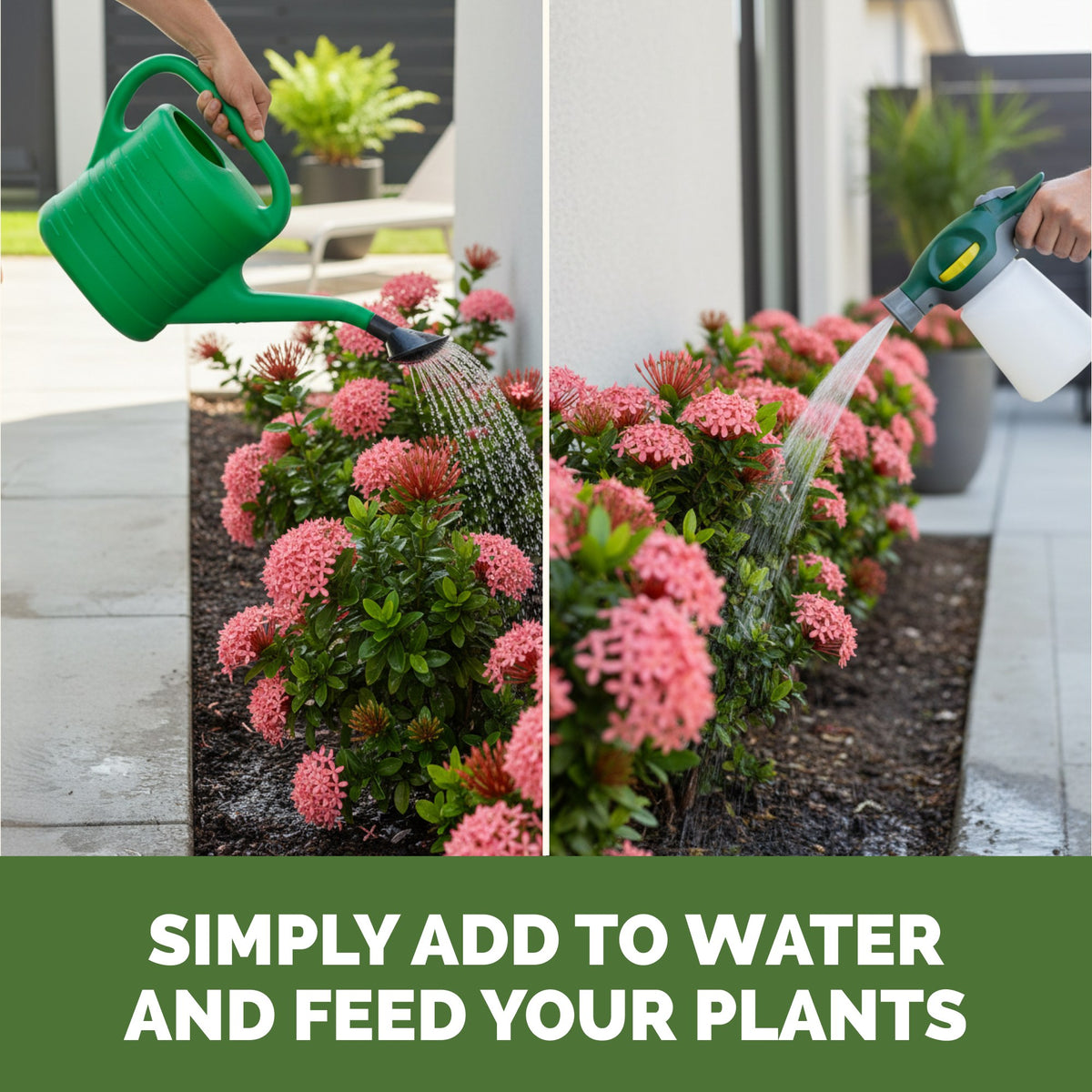 Feeding plants with TPS 10-10-10 for Plants by watering can or hose-end sprayer [how-to]