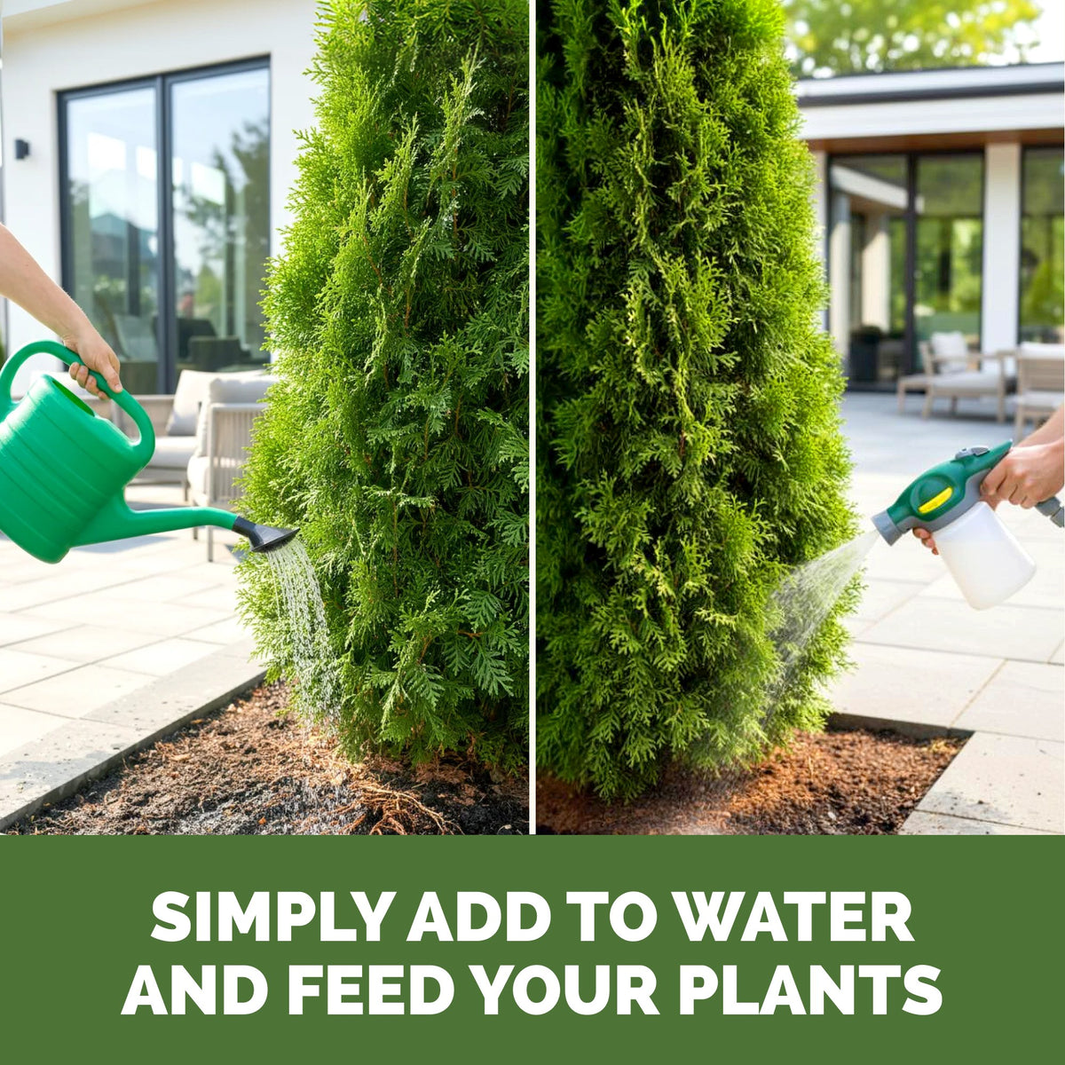 Arborvitae Fertilizer — slide 6