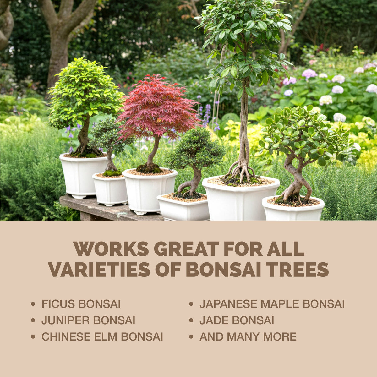 Bonsai Fertilizer — slide 6