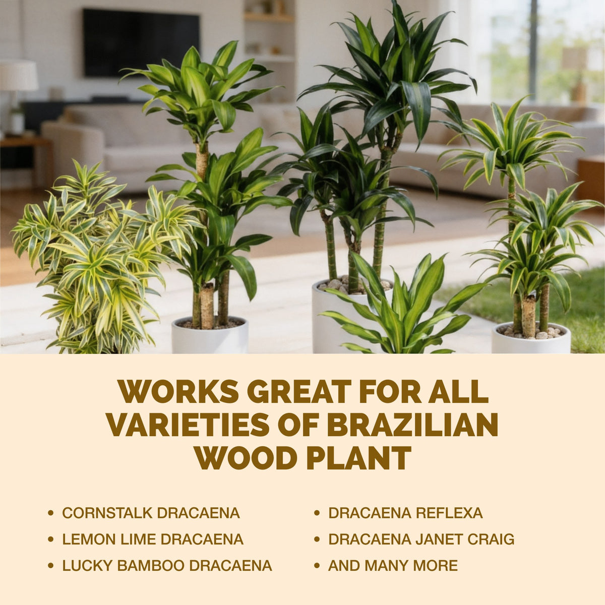 TPS Brazilian Wood Plant Food works for all varieties of plants [other]