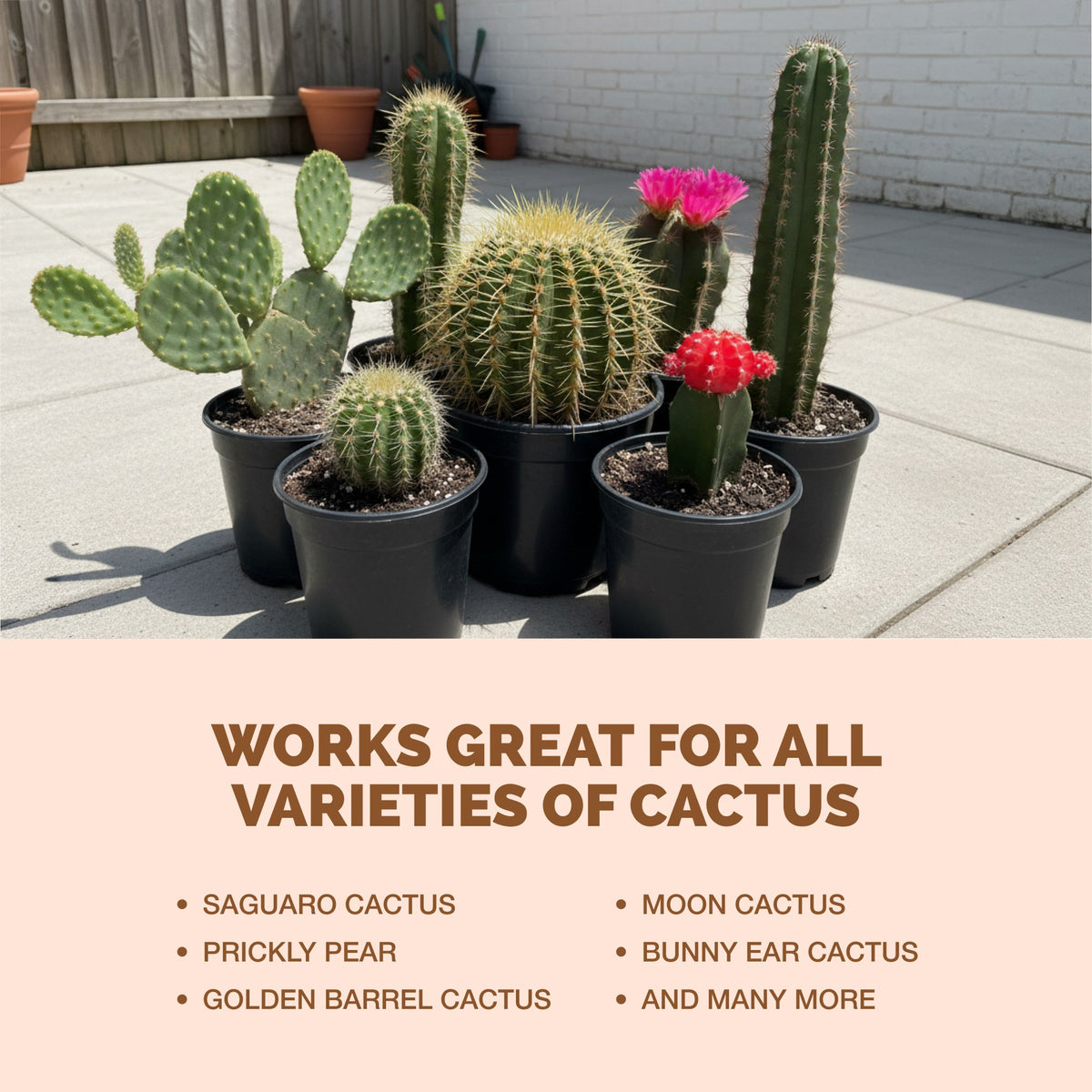 TPS Cactus Fertilizer works for all varieties of cactus
