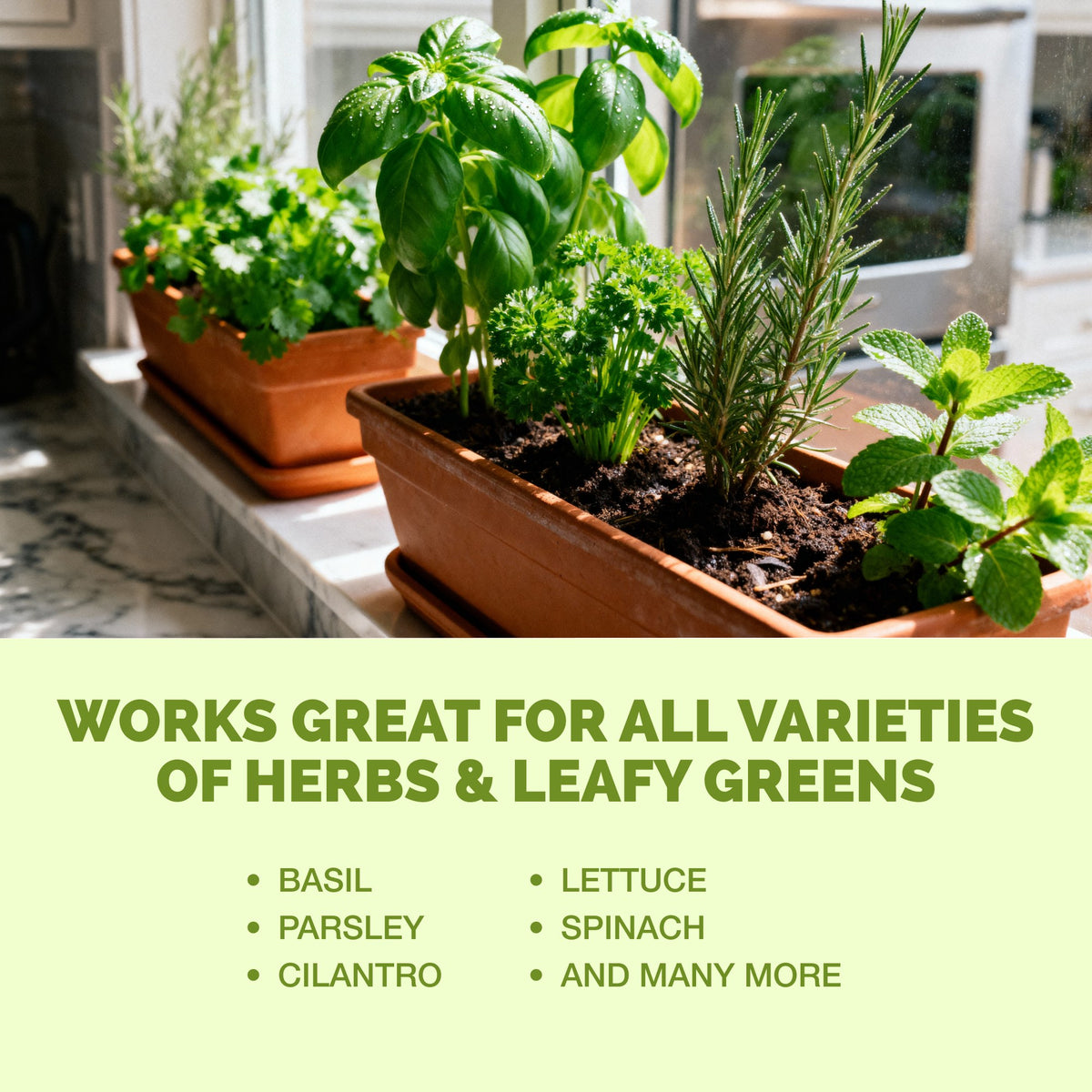 Herbs and Leafy Greens Plant Food — slide 6